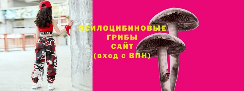 Галлюциногенные грибы MAGIC MUSHROOMS  Волгоград 